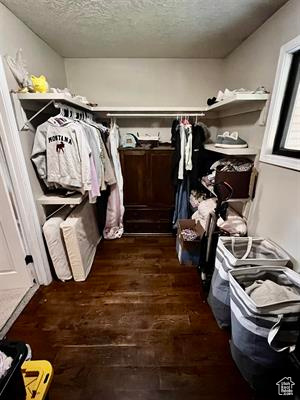 Spacious closet featuring dark wood-style floors