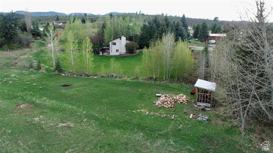 View of grassy yard