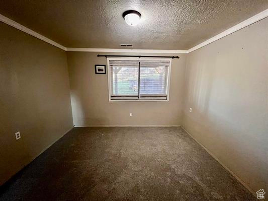 Carpeted spare room featuring a textured ceiling and ornamental molding