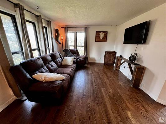 Living area featuring a textured ceiling, baseboards, and wood finished floors
