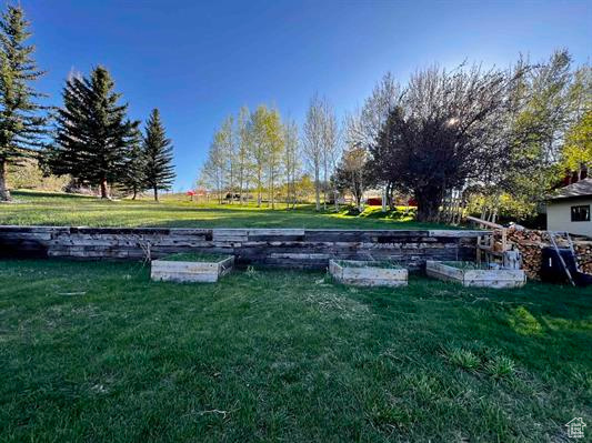 View of grassy yard featuring a garden