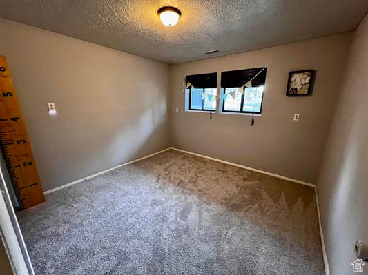 Carpeted empty room with a textured ceiling and baseboards