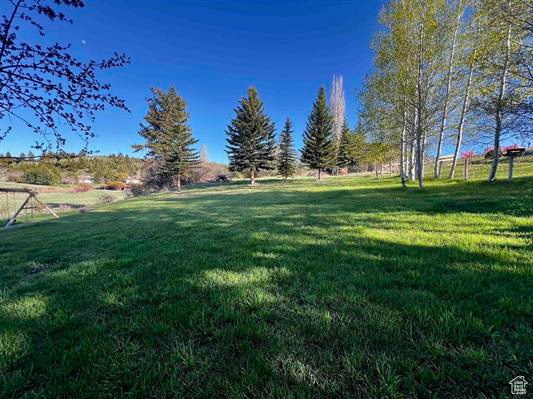 View of grassy yard featuring a view of rural / pastoral area