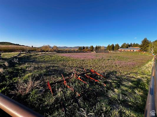 View of yard featuring a rural view