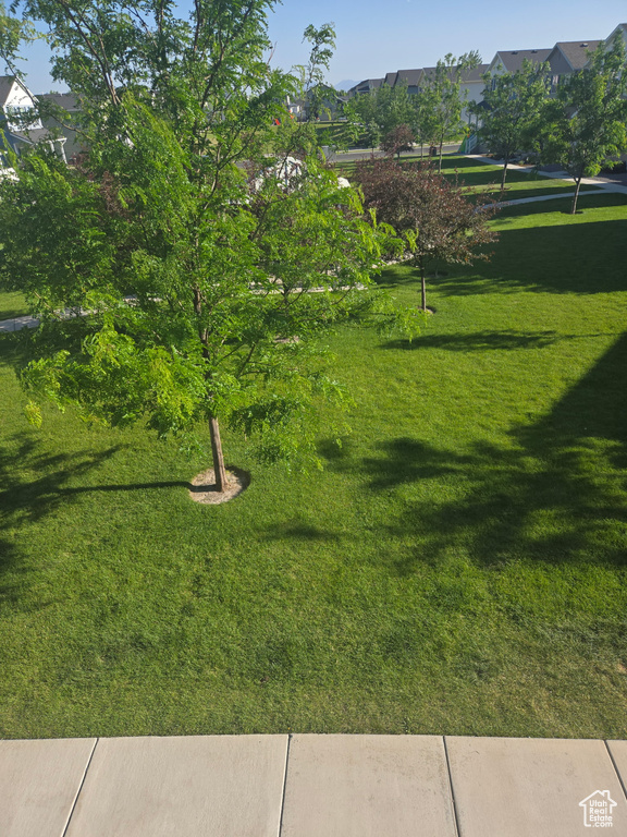 View of home's community with a lawn and a residential view