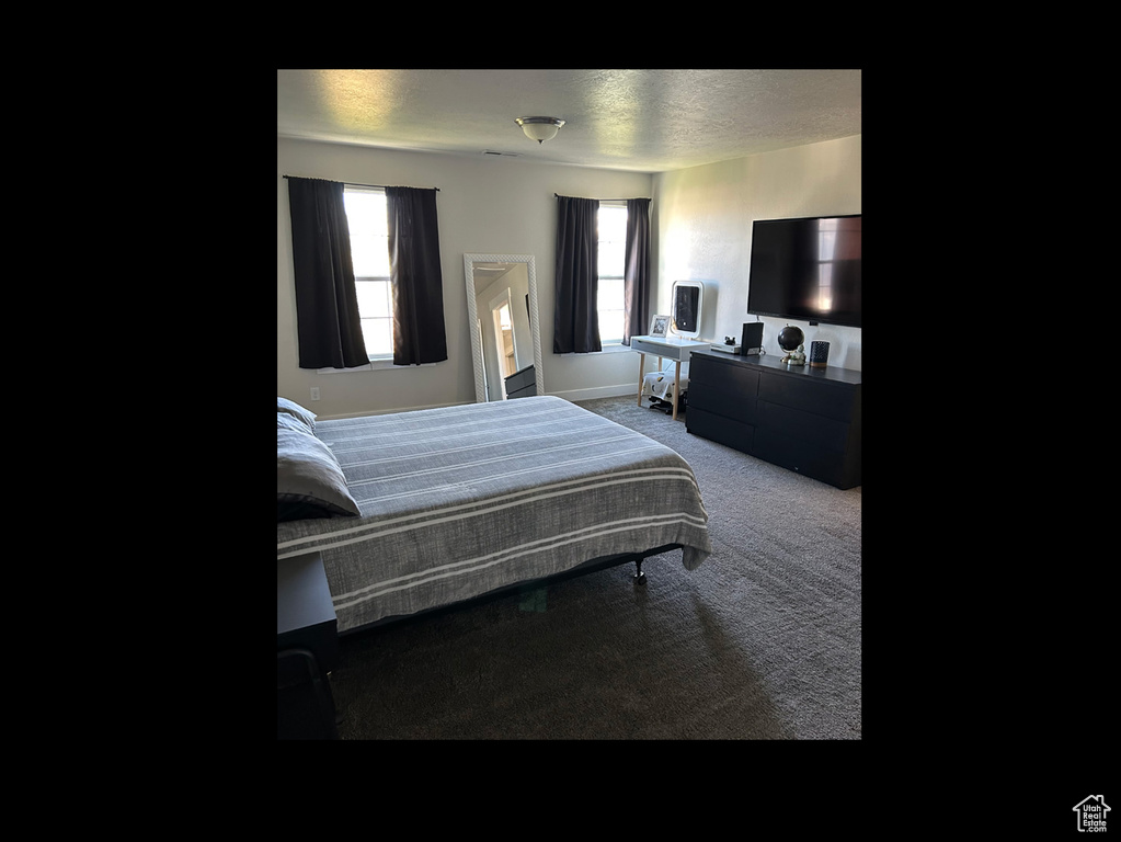 Carpeted bedroom featuring multiple windows and baseboards