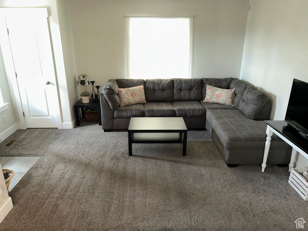 Living area with plenty of natural light, carpet flooring, and baseboards