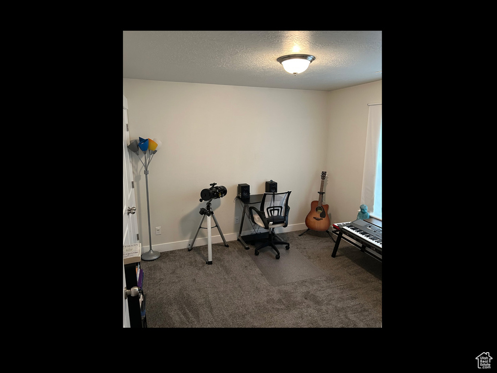 Misc room featuring carpet flooring, baseboards, and a textured ceiling