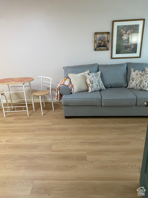 Living area featuring light wood-style floors