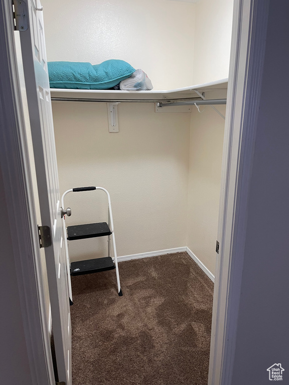 Spacious closet with carpet floors