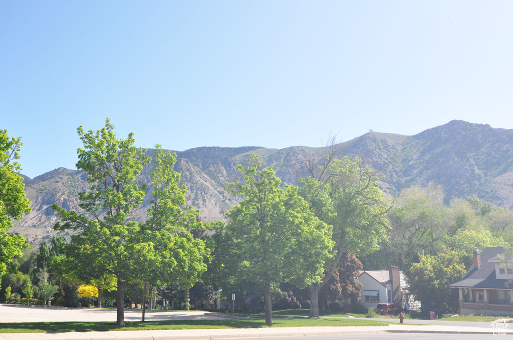Mountain view