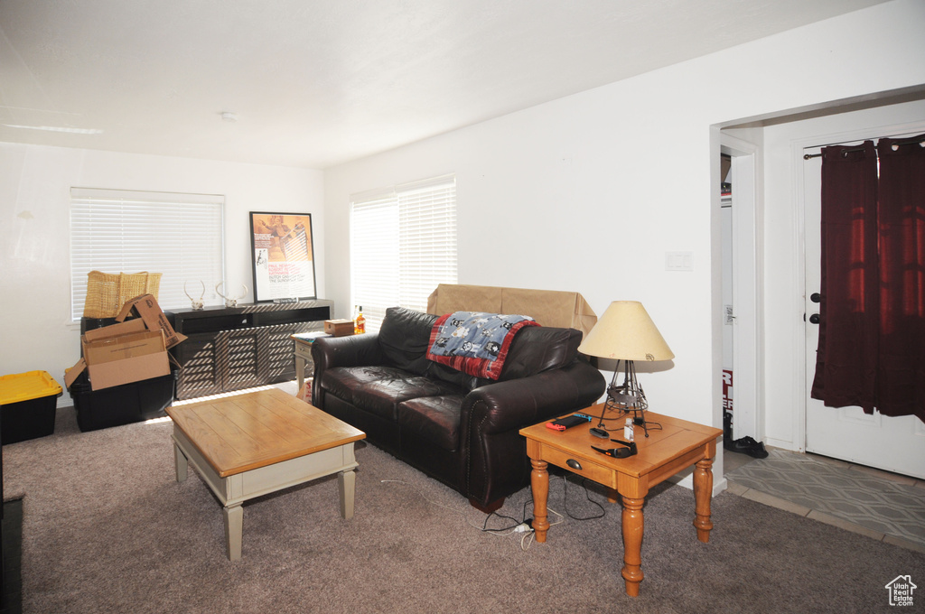 Living room with carpet flooring