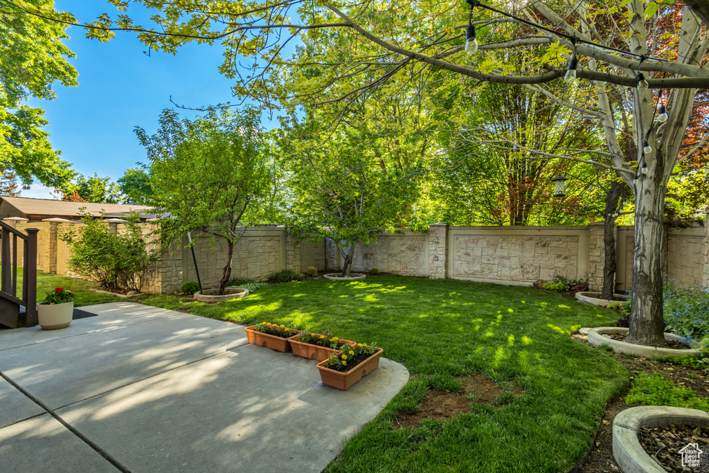 View of yard featuring a patio area