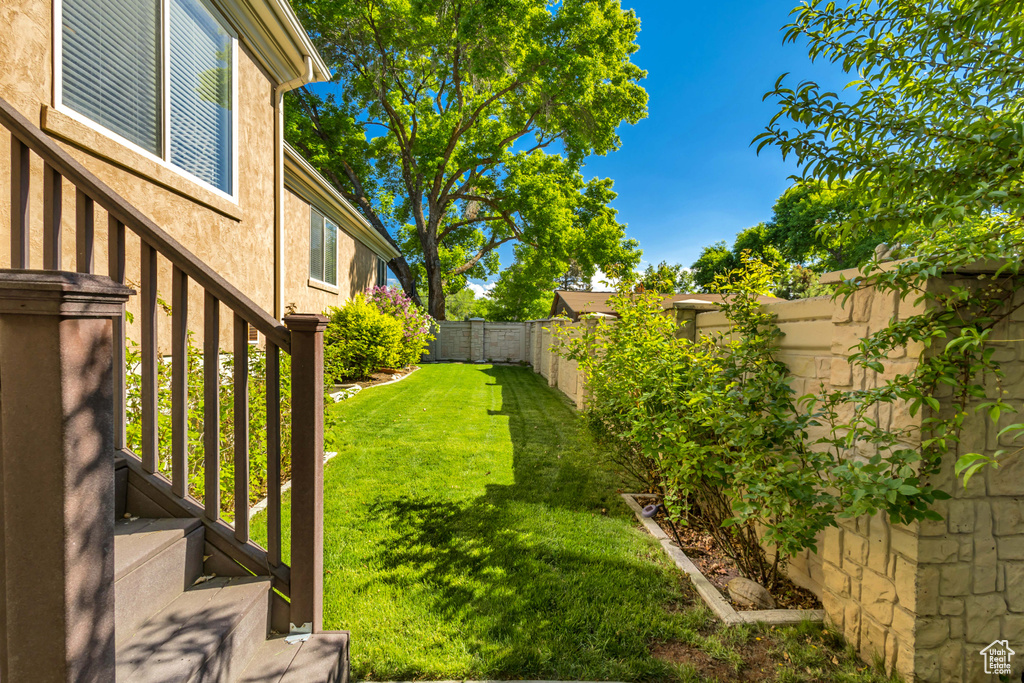 View of yard