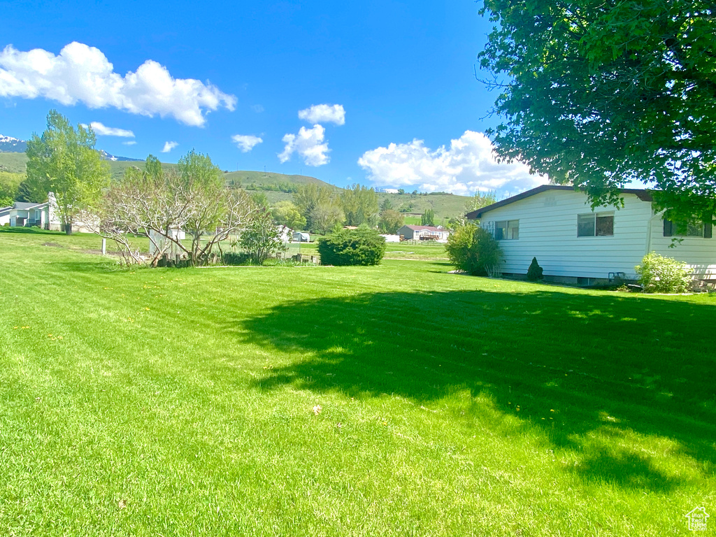 View of grassy yard