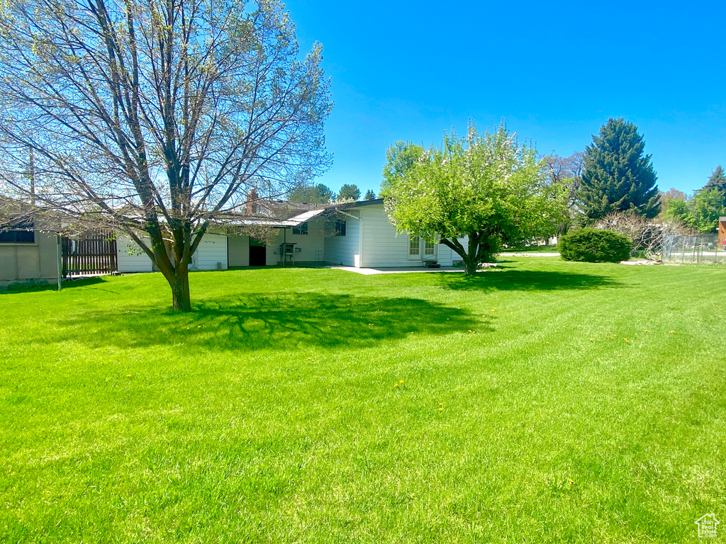 View of grassy yard