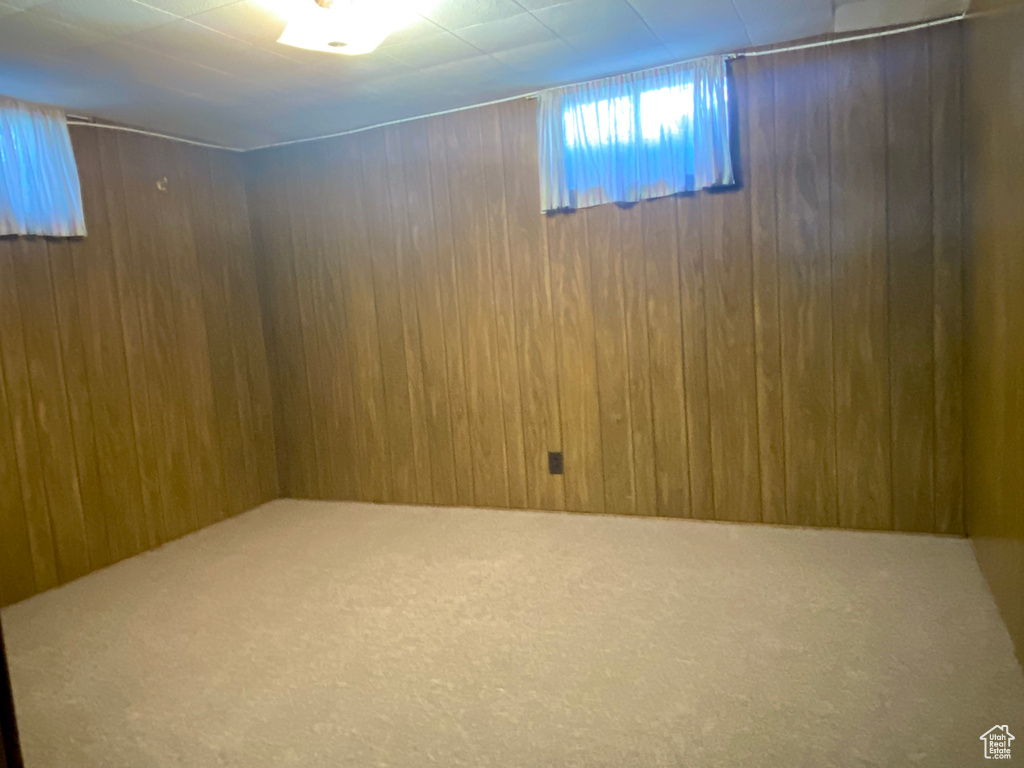 Below grade area featuring carpet and wood walls