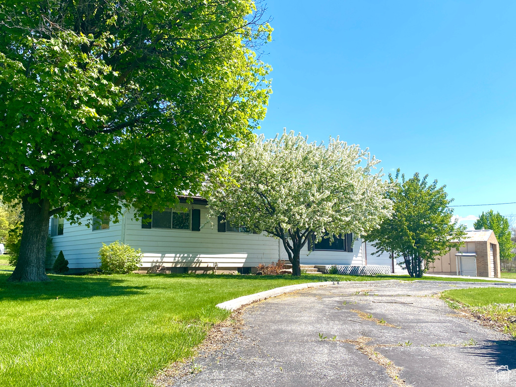 View of property hidden behind natural elements with a front lawn