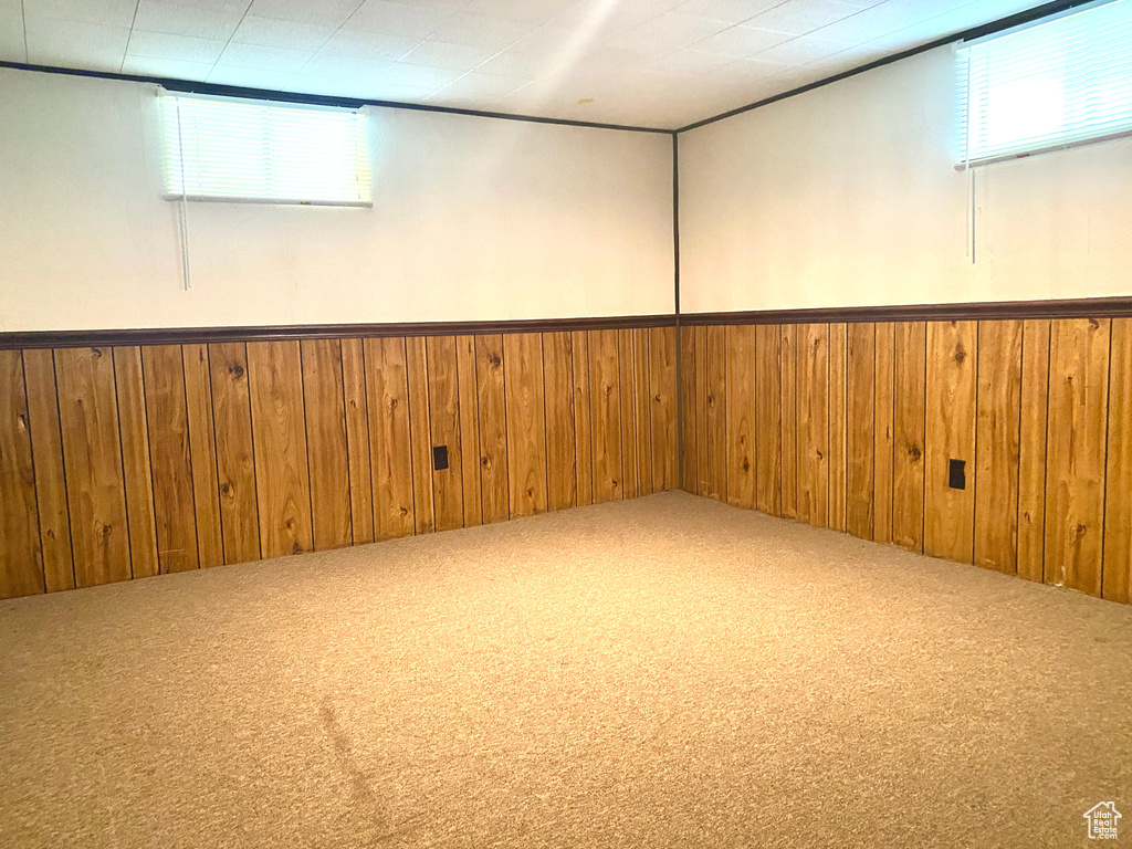 Below grade area featuring carpet, wooden walls, and wainscoting