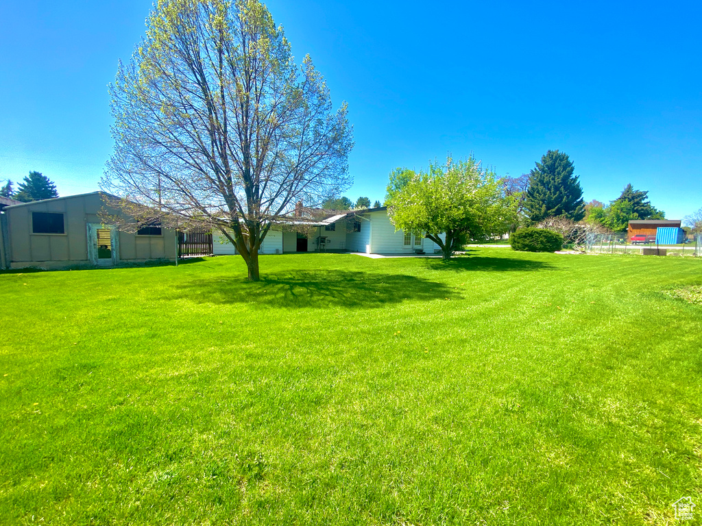 View of green lawn