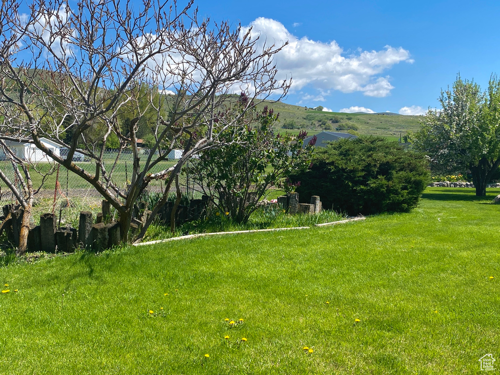View of grassy yard