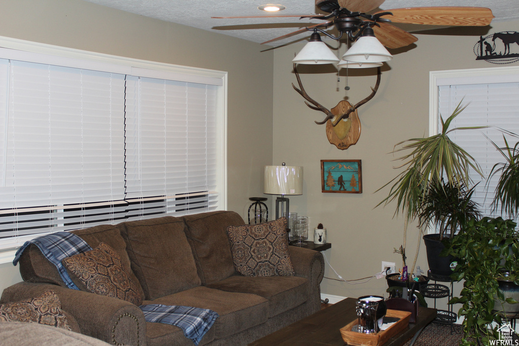 Living room with ceiling fan
