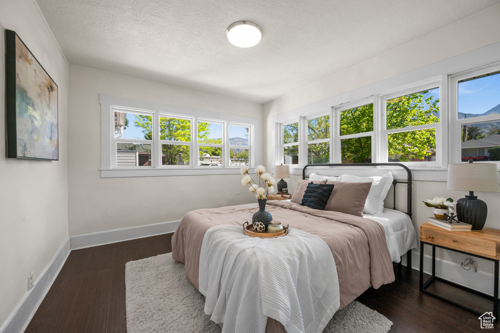 Bedroom with multiple windows, baseboards, wood finished floors, and a textured ceiling