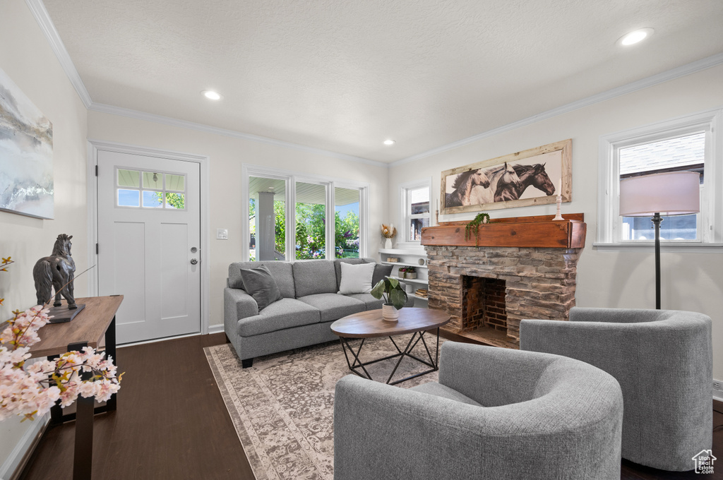 Living area featuring ornamental molding, dark wood-style flooring, a fireplace, recessed lighting, and baseboards