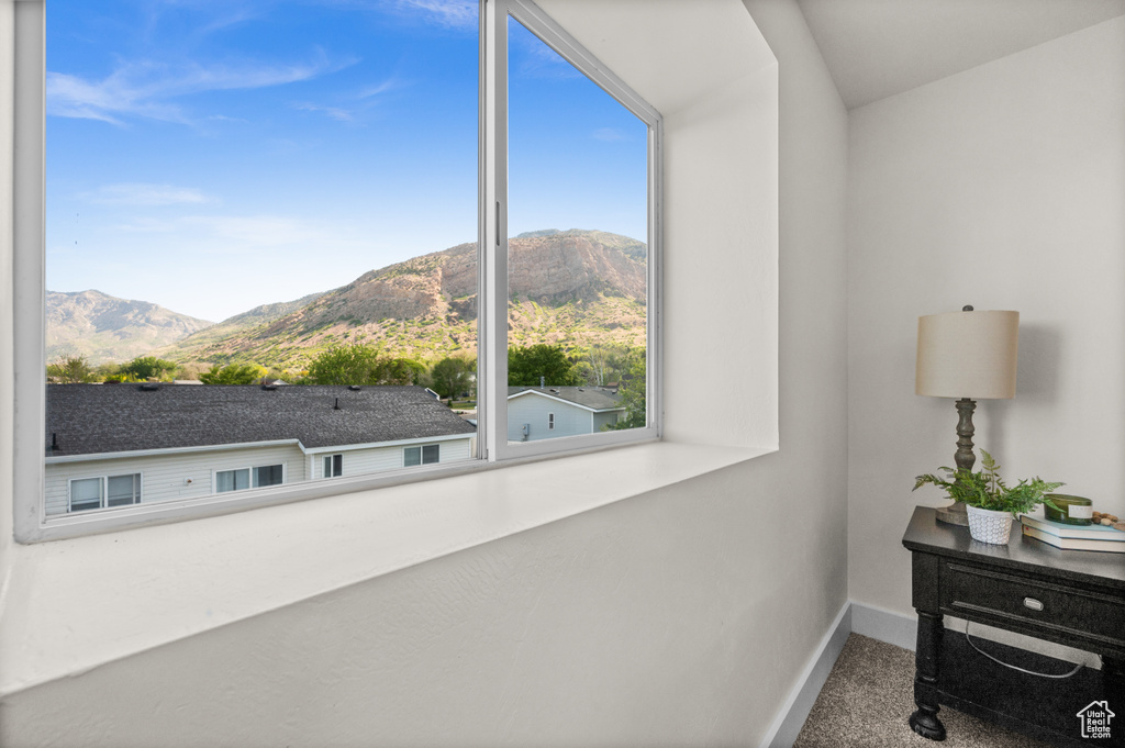 Detailed view of a mountain view, baseboards, and carpet