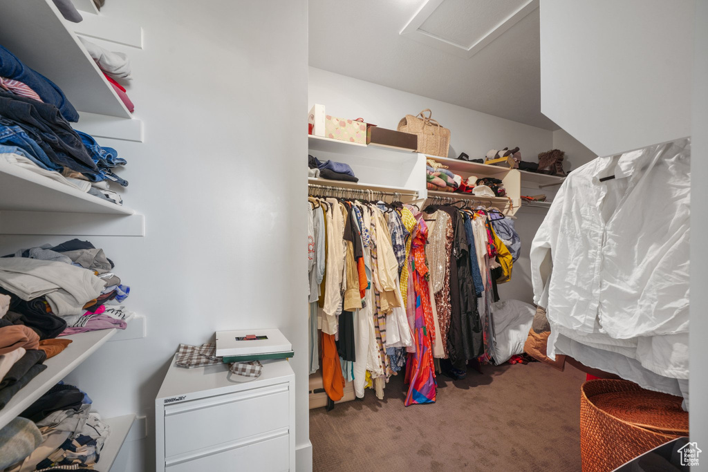 Spacious closet with attic access and carpet floors