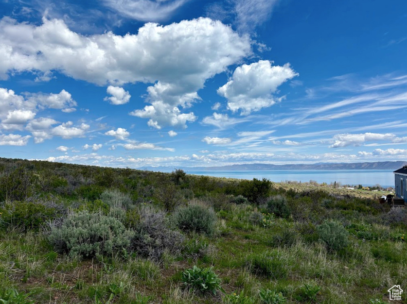 View of local wilderness featuring a large body of water