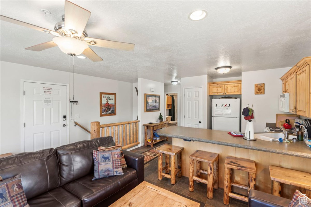 Living room featuring a ceiling fan