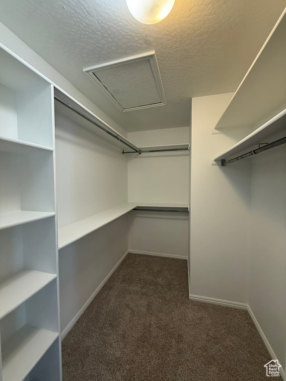 Photo 30 for MLS #2084079 at 6721 S Costa Cv