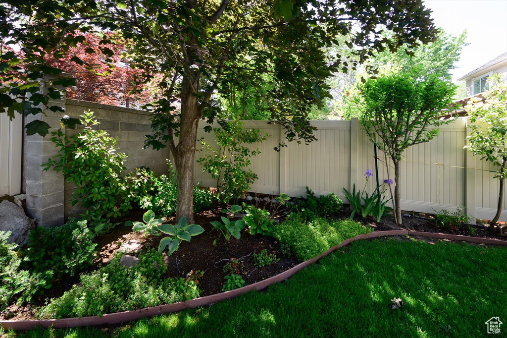 View of fenced backyard