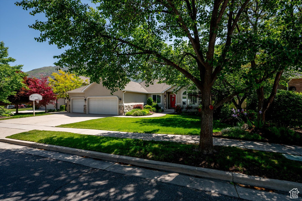 View of property hidden behind natural elements with an attached garage, a front lawn, concrete driveway, stone siding, and stucco siding
