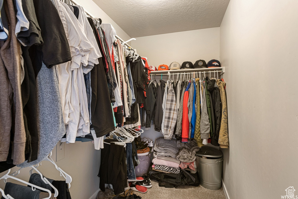 Spacious closet featuring carpet flooring