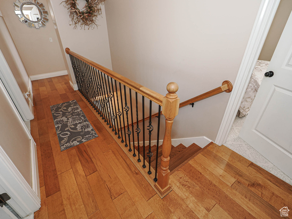 Stairs with hardwood / wood-style flooring and baseboards