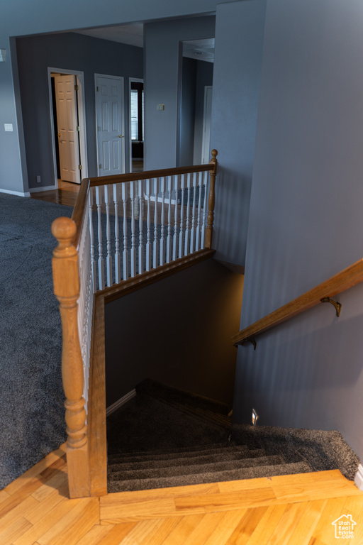 Stairs with carpet floors and baseboards