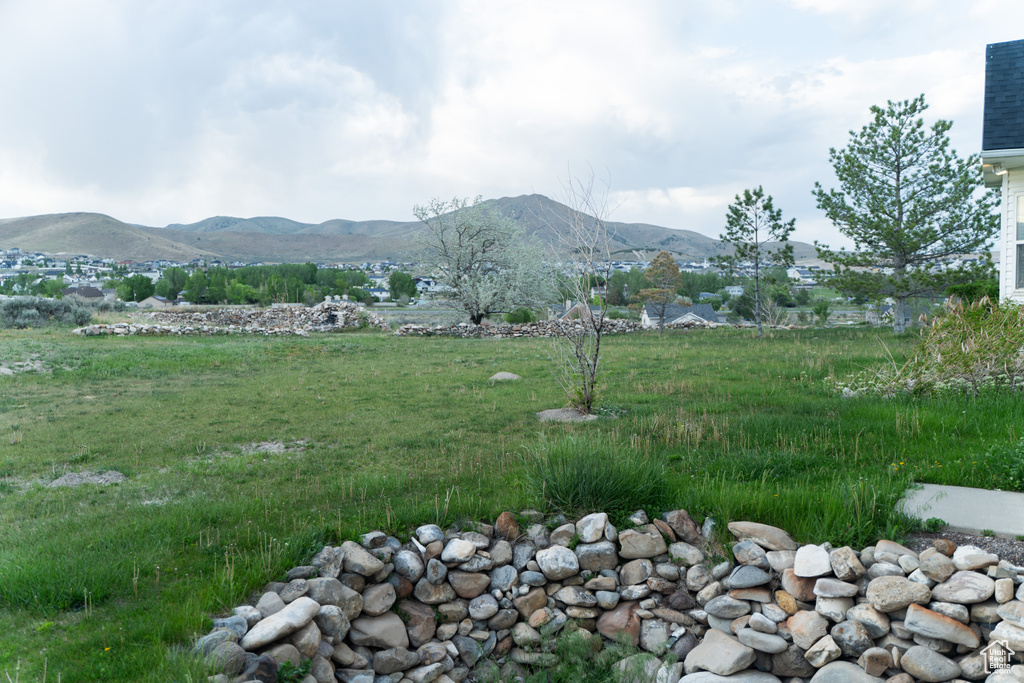 Mountain view