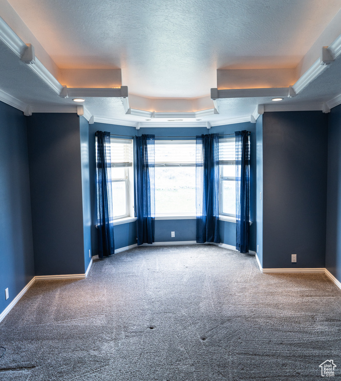 Empty room with a raised ceiling, carpet, crown molding, a textured ceiling, and baseboards