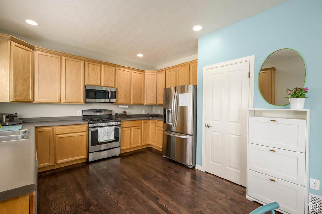 Kitchen featuring appliances with stainless steel finishes, recessed lighting, dark wood finished floors, and a sink