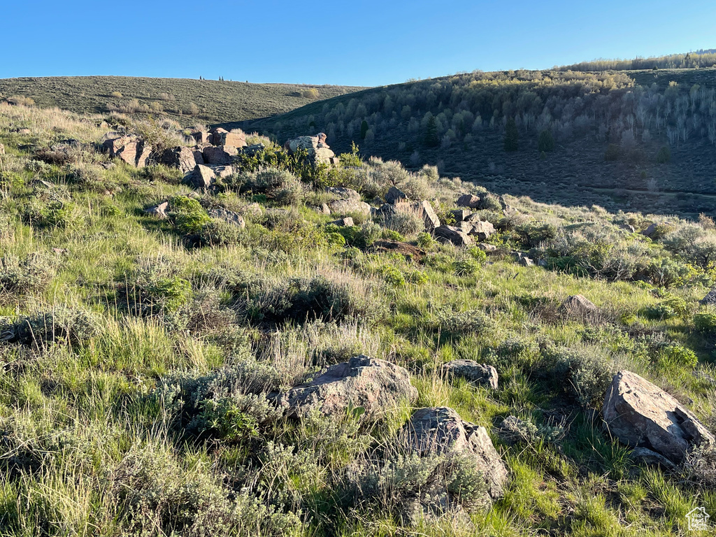 View of mountain background