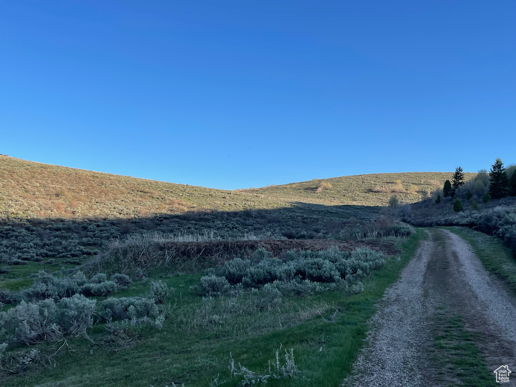 View of dirt / gravel road