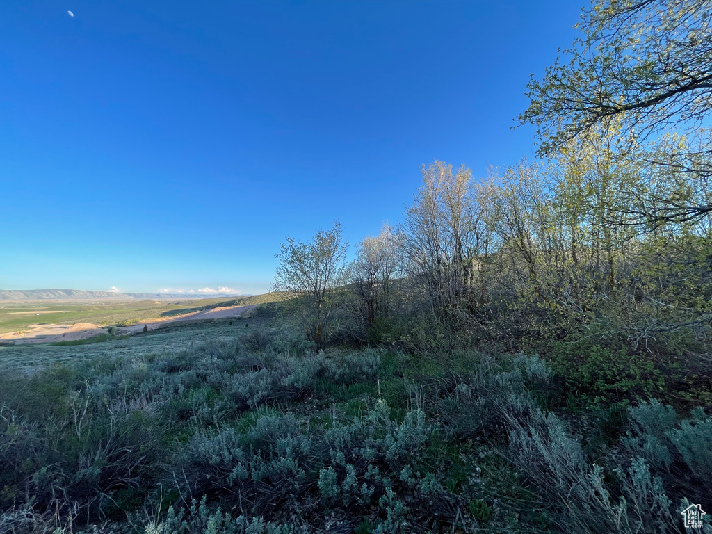 View of undeveloped land