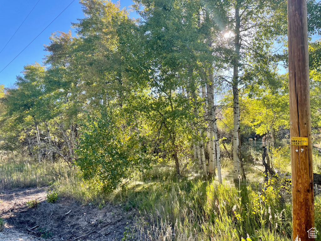 View of undeveloped land