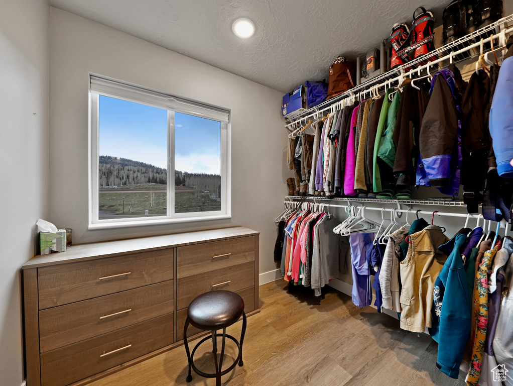 Spacious closet featuring light wood finished floors