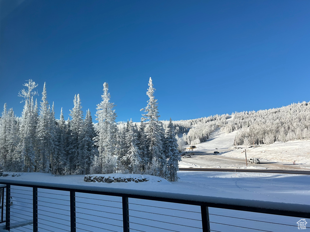 Mountain view featuring a heavily wooded area