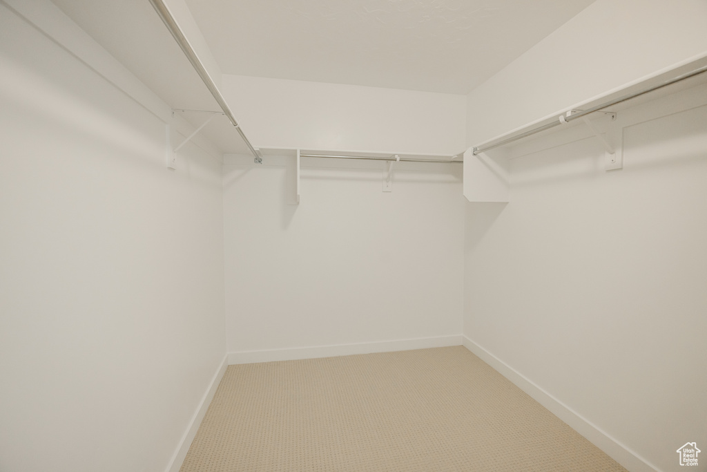 Spacious closet featuring carpet floors