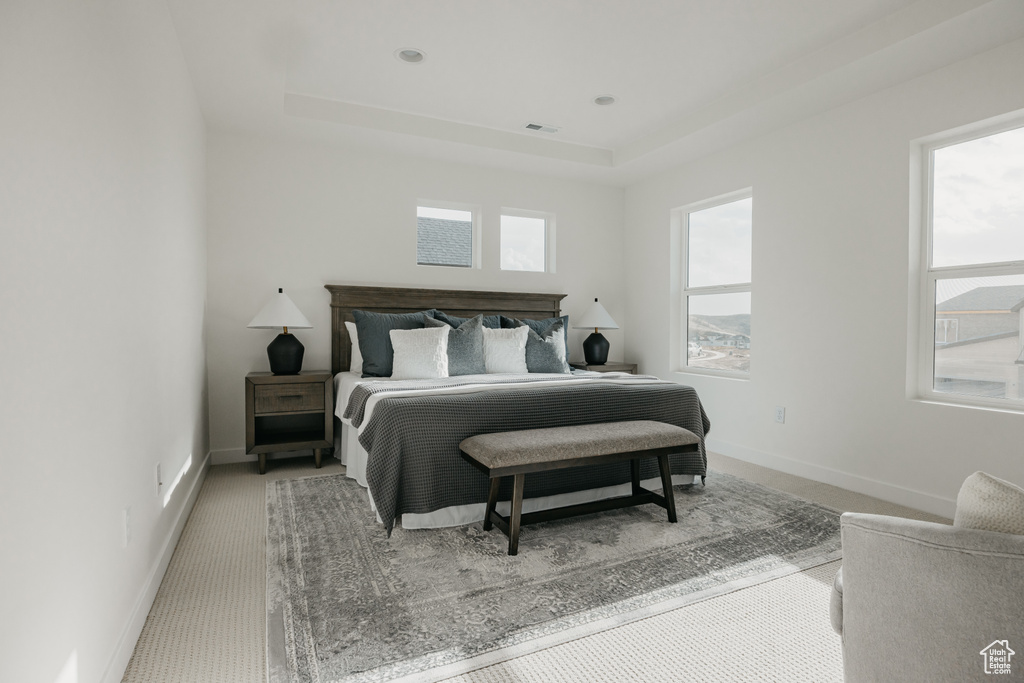 Carpeted bedroom featuring a raised ceiling and baseboards
