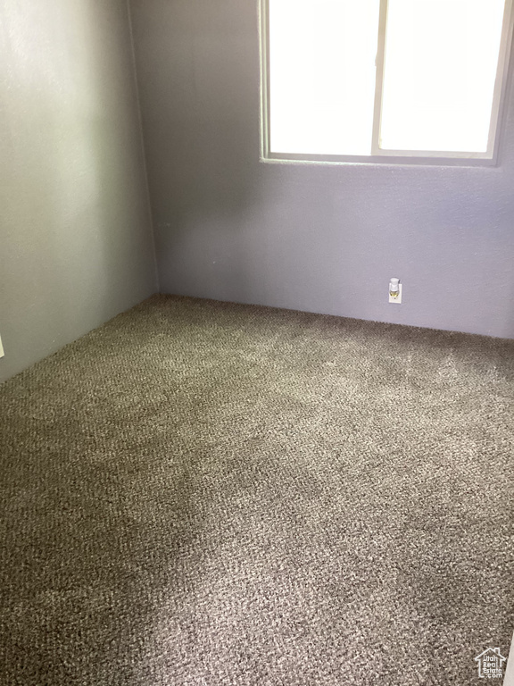 Unfurnished room featuring carpet floors